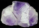 Amethyst Crystal Cluster - Morocco #57044-1